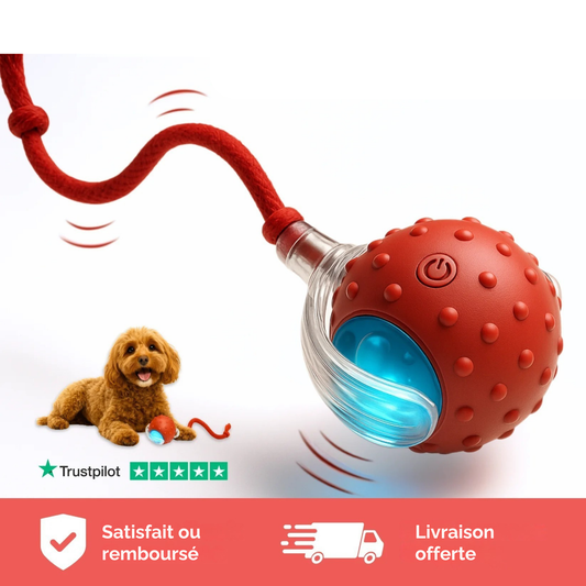 Balle de jeu Interactive - Larana