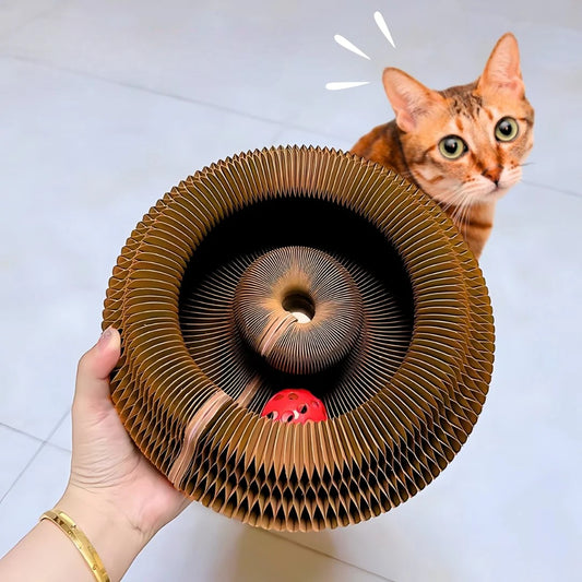 Griffoir interactif pour chat - Larana