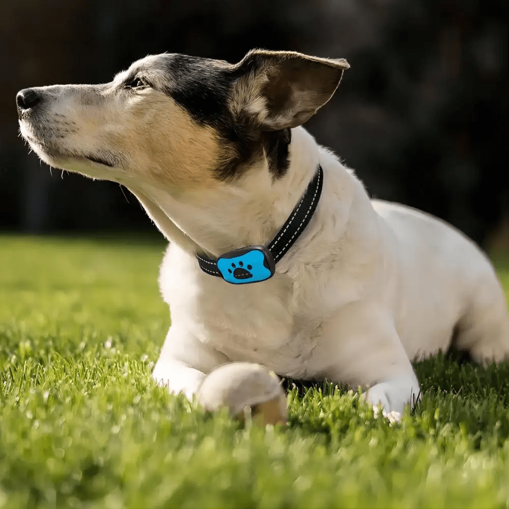 Collier Anti - Aboiement pour Chien - Intelligent, Rechargeable et Réglable - Confort et Sécurité - LARANA