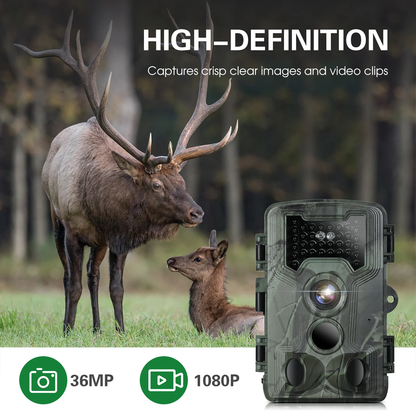 Caméra de Chasse 36MP HD - IR, Vision Nocturne & Étanche IP66 | Larana