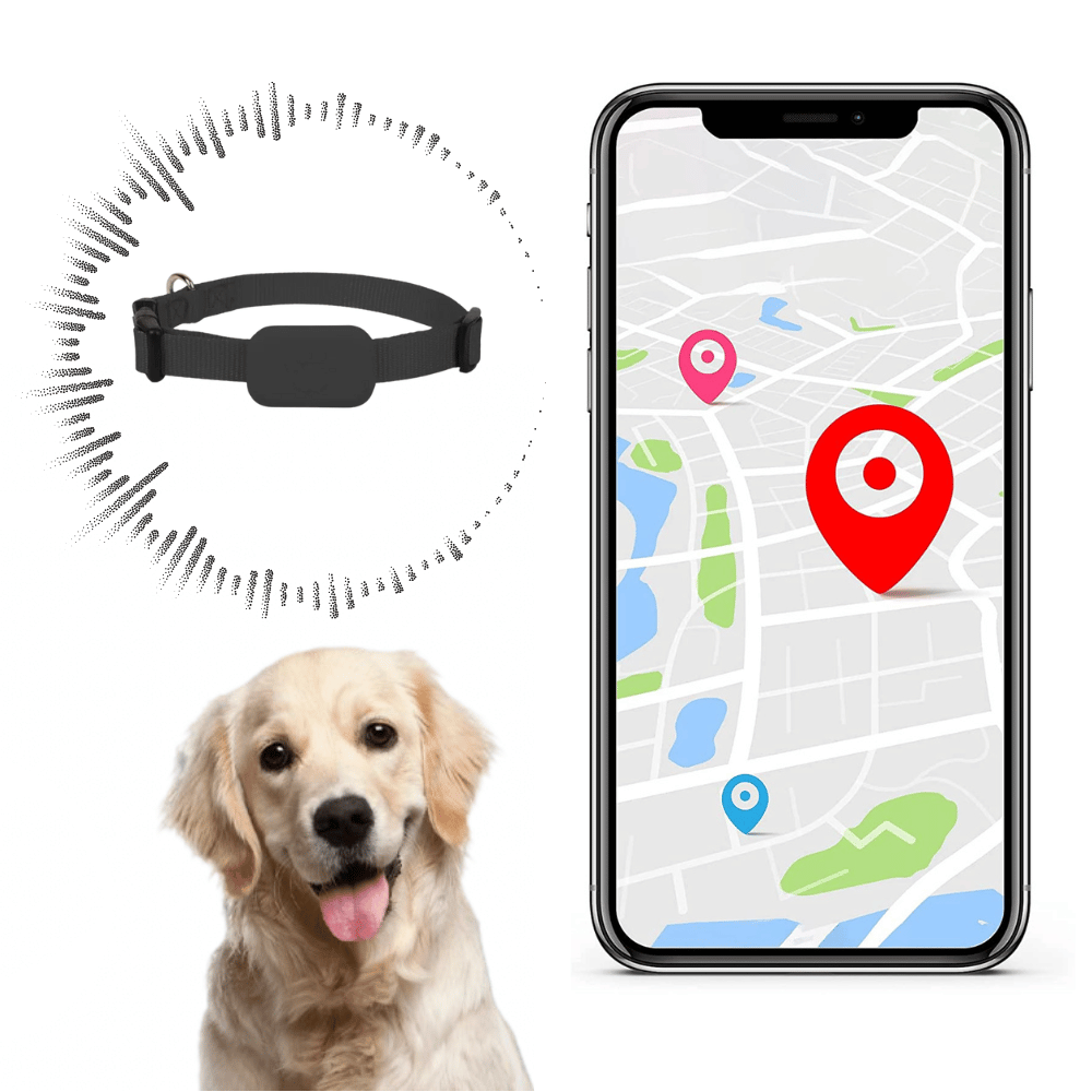 Traceur GPS Étanche pour Animaux – Suivi en Temps Réel, Alertes de Zone, Batterie Longue Durée - LARANA
