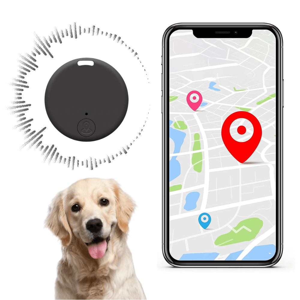 Traceur GPS pour Animaux – Localisation Précise, Zones de Sécurité, Étanche et Autonome - LARANA