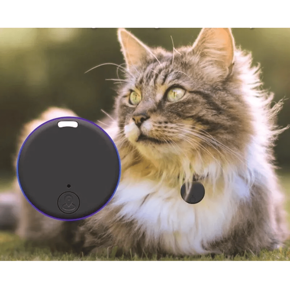 Traceur GPS pour Animaux – Localisation Précise, Zones de Sécurité, Étanche et Autonome - LARANA